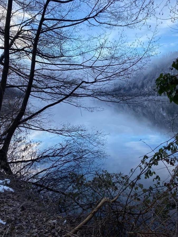 Villa Miriam Levico Terme Eksteriør bilde