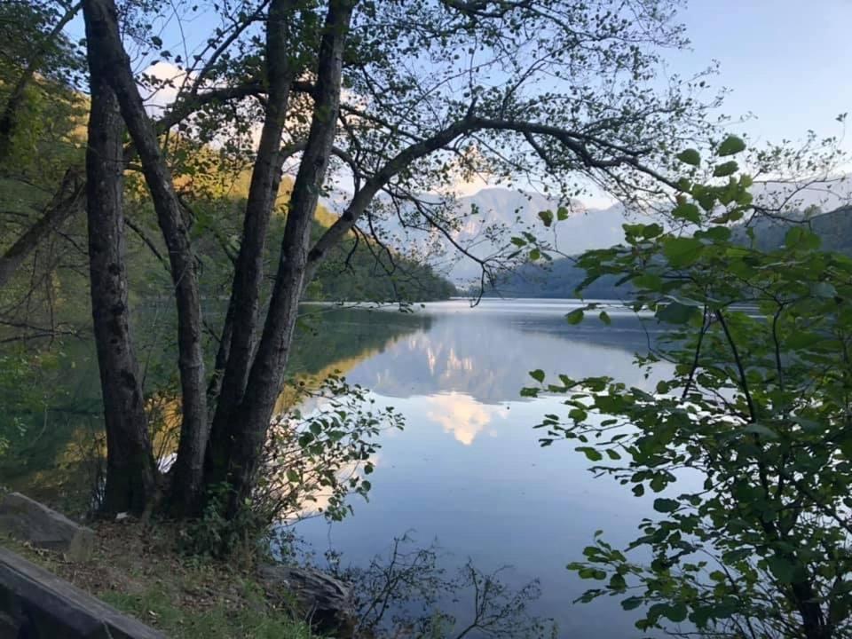 Villa Miriam Levico Terme Eksteriør bilde
